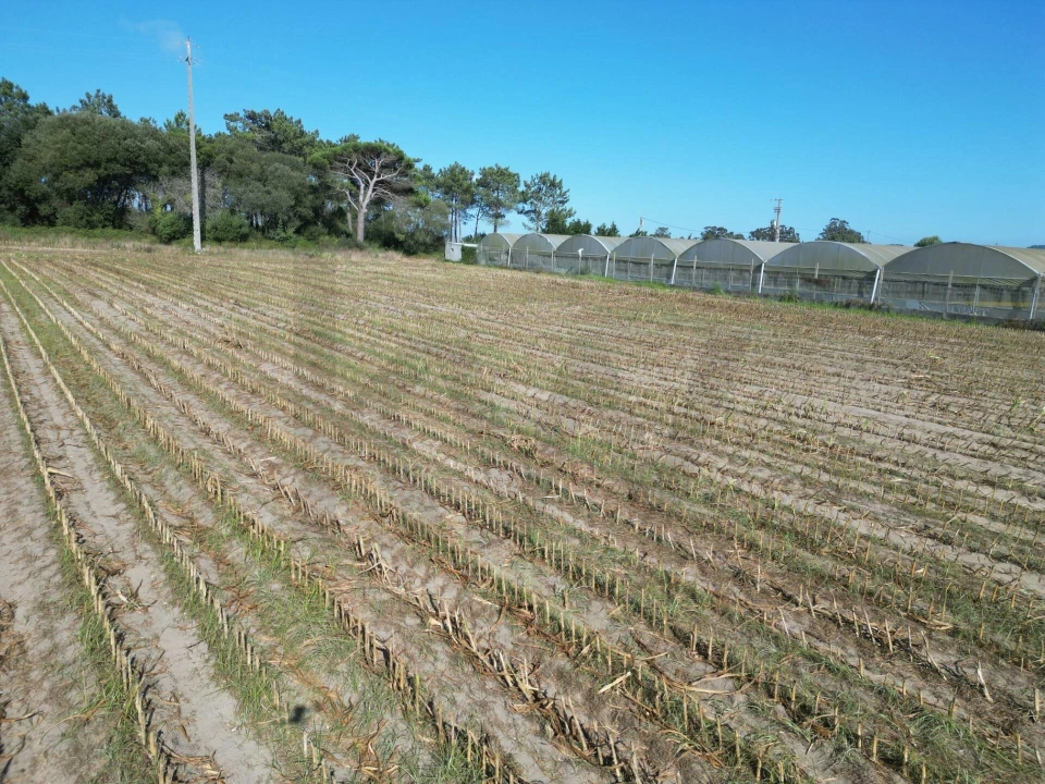 Terreno para Venda em Estela Foto 5