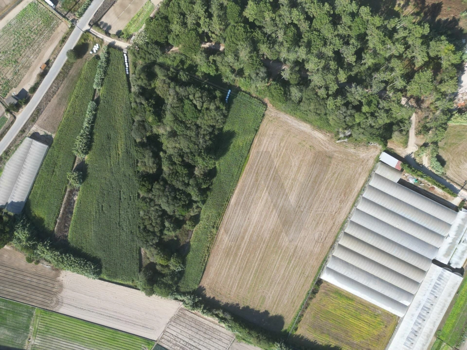 Terreno para Venda em Estela Foto 6