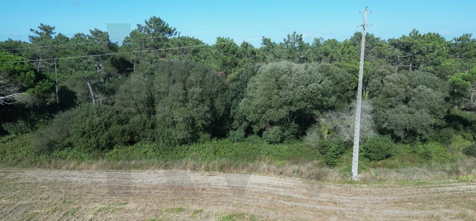 Terreno para Venda em Estela Foto 24