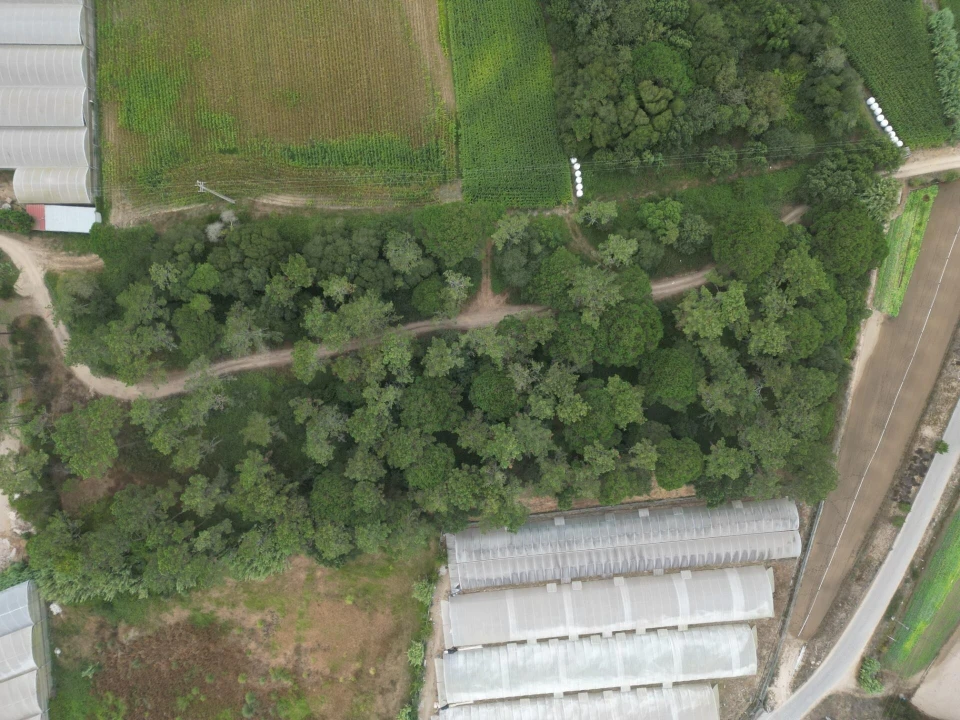 Terreno para Venda em Estela Foto 10