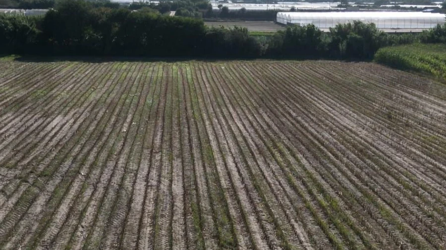 Terreno para Venda em Estela