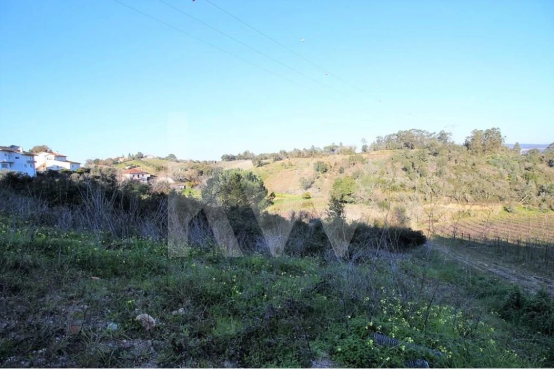 Terreno para Venda em Eiras e São Paulo de Frades Foto 6