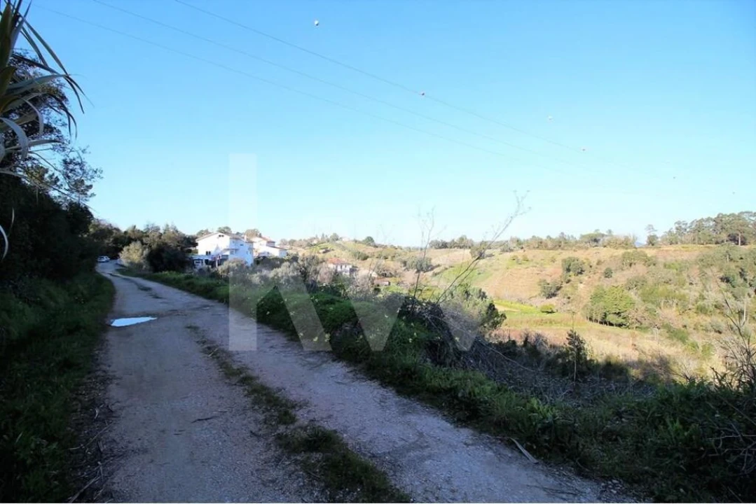 Terreno para Venda em Eiras e São Paulo de Frades Foto 1