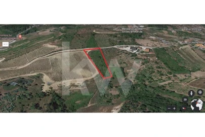 Terreno para Venda em Eiras e São Paulo de Frades