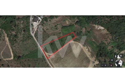 Terreno para Venda em Eiras e São Paulo de Frades