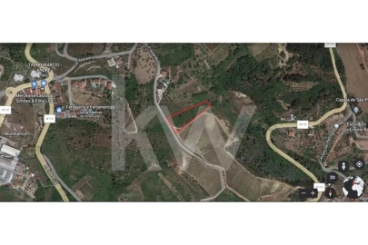 Terreno para Venda em Eiras e São Paulo de Frades