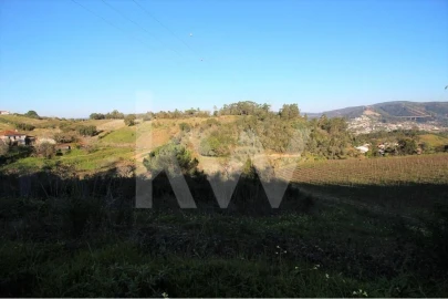 Terreno para Venda em Eiras e São Paulo de Frades