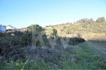 Terreno para Venda em Eiras e São Paulo de Frades
