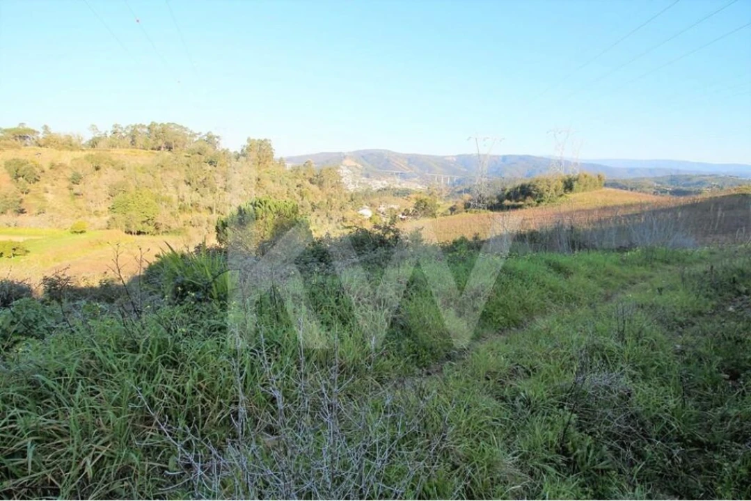Terreno para Venda em Eiras e São Paulo de Frades Foto 5