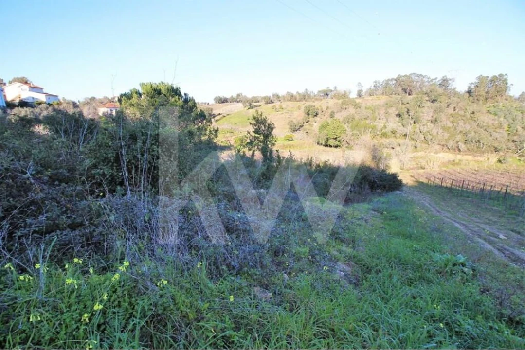 Terreno para Venda em Eiras e São Paulo de Frades Foto 9