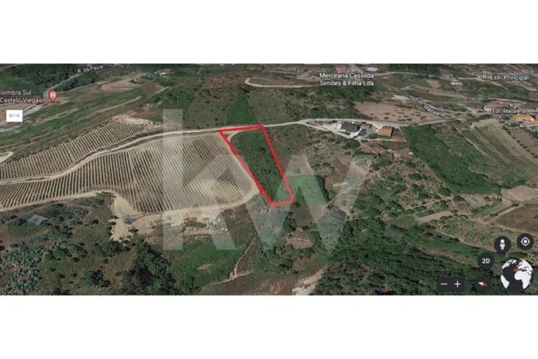 Terreno para Venda em Eiras e São Paulo de Frades Foto 12