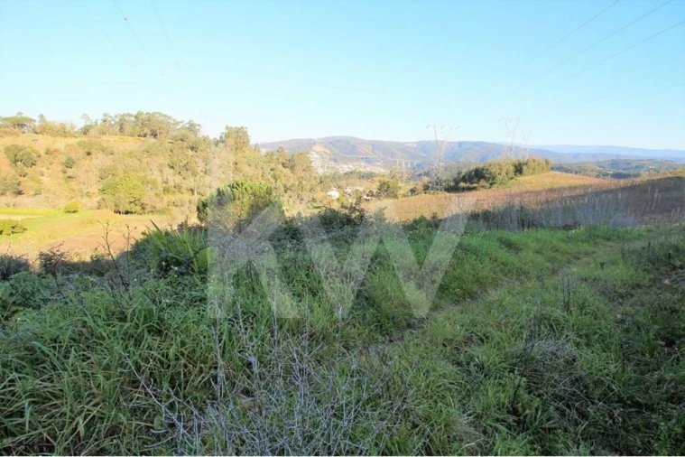 Terreno para Venda em Eiras e São Paulo de Frades Foto 5