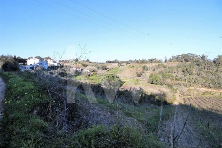 Terreno para Venda em Eiras e São Paulo de Frades Foto 2
