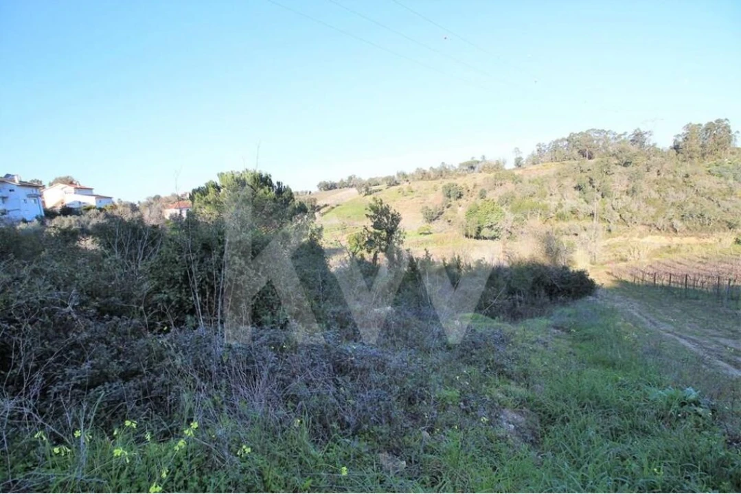 Terreno para Venda em Eiras e São Paulo de Frades Foto 7