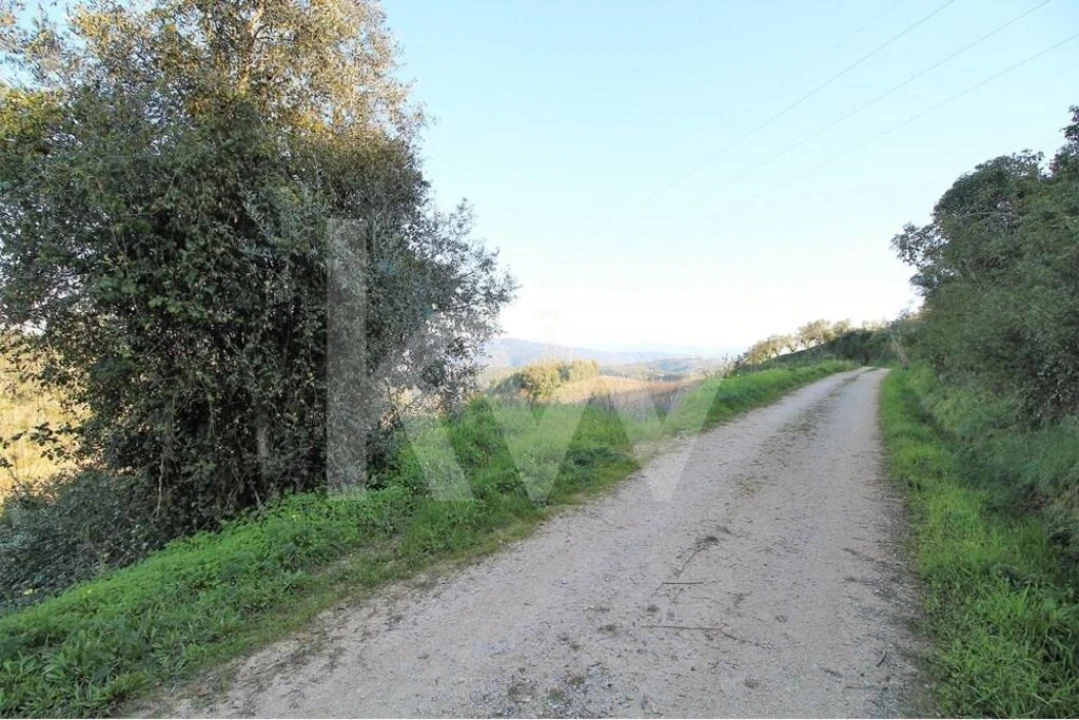 Terreno para Venda em Eiras e São Paulo de Frades Foto 4