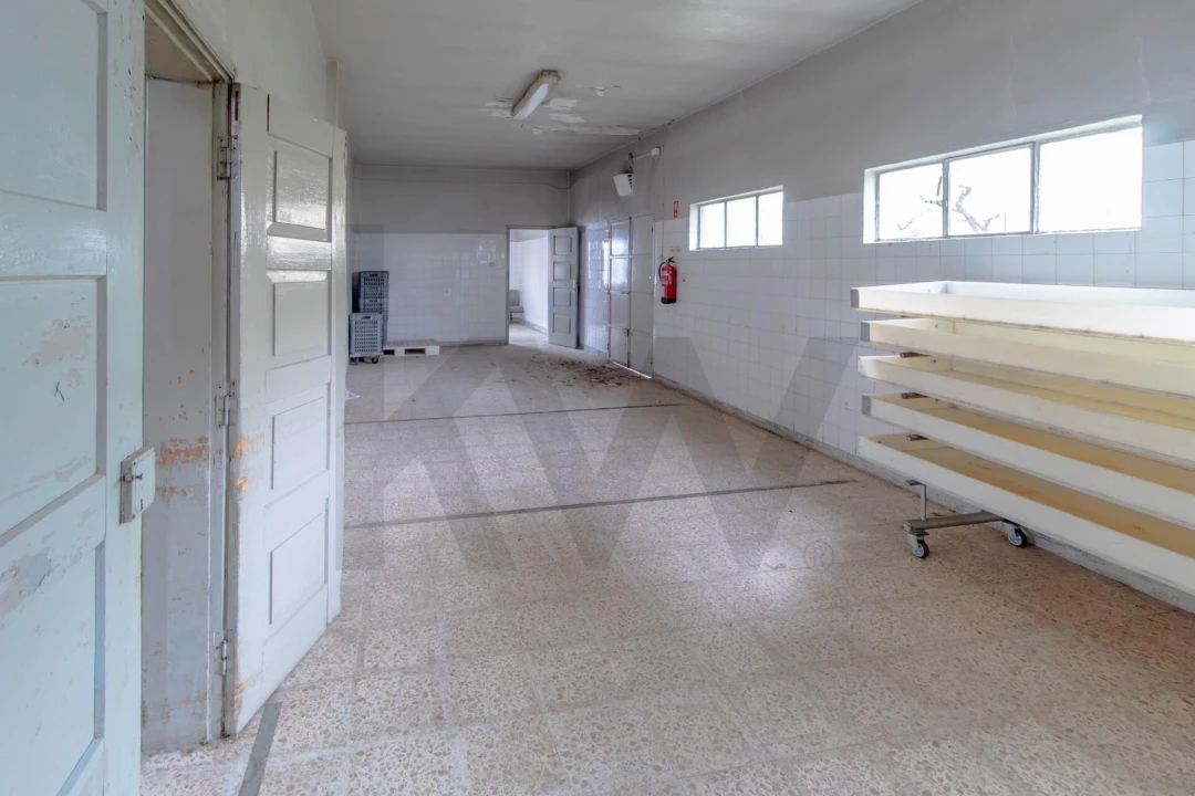 Armazém para Venda em To Foto 17