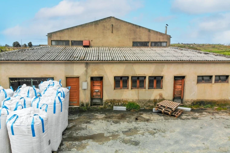 Armazém para Venda em To Foto 39