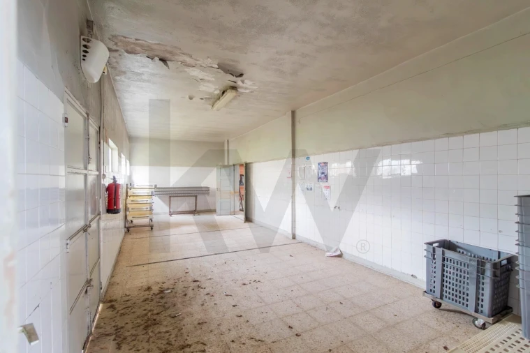 Armazém para Venda em To Foto 15