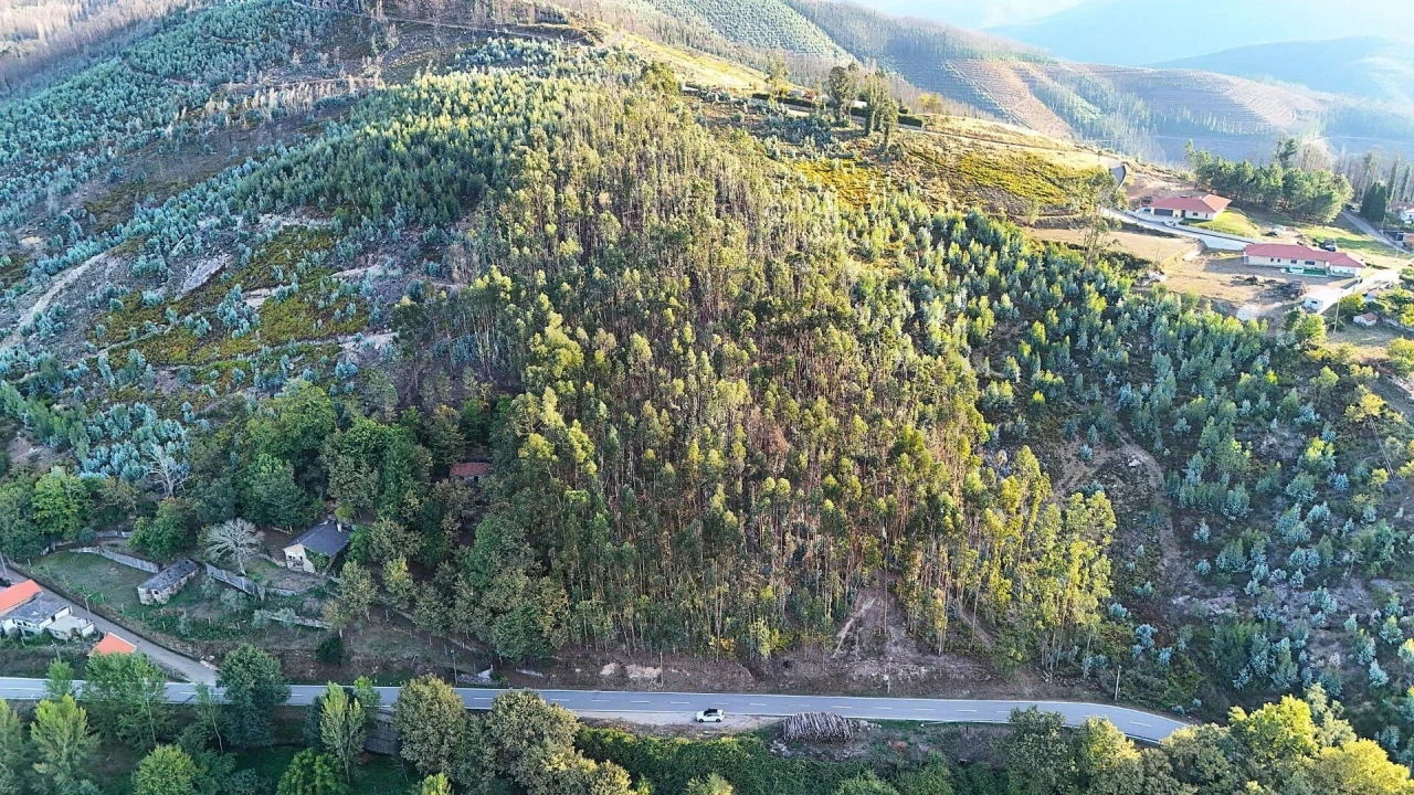 Terreno para Venda em Alvarenga Foto 13