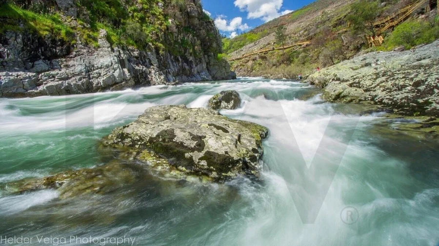 Terreno para Venda em Alvarenga Foto 8