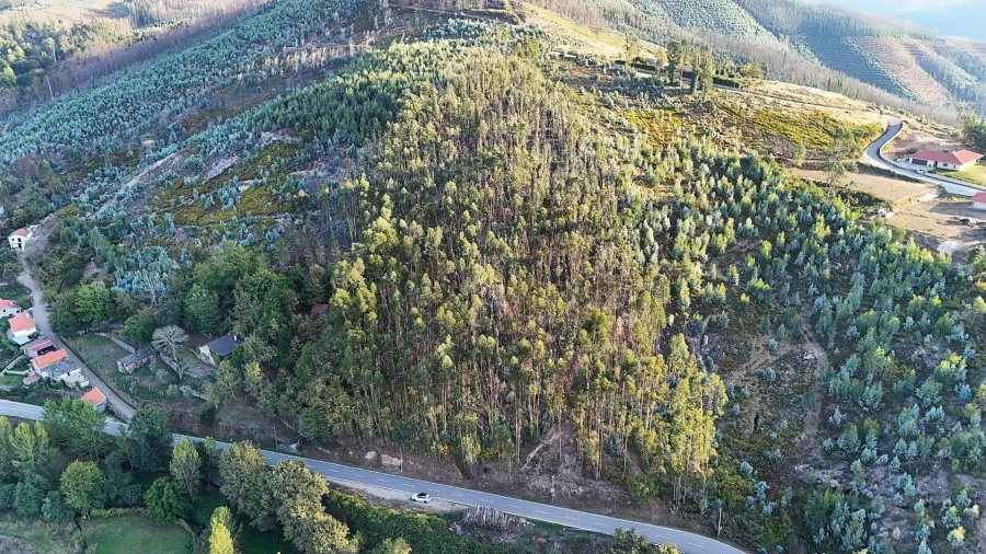 Terreno para Venda em Alvarenga Foto 14