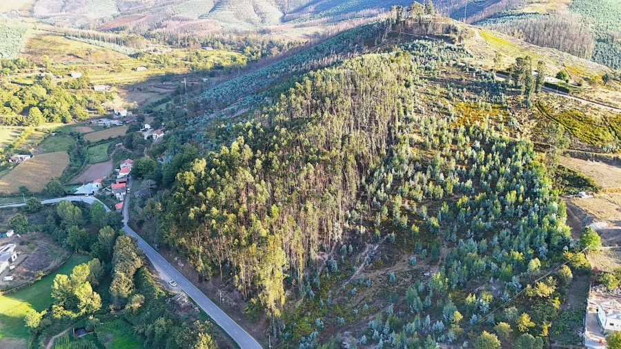 Terreno para Venda em Alvarenga Foto 9