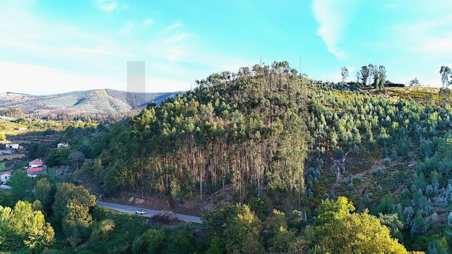 Terreno para Venda em Alvarenga Foto 15