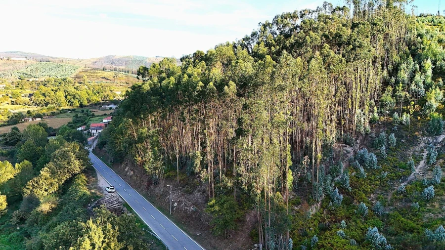 Terreno para Venda em Alvarenga Foto 18