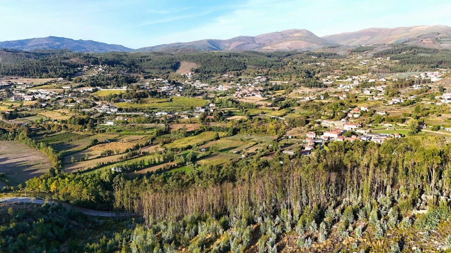 Terreno para Venda em Alvarenga Foto 11