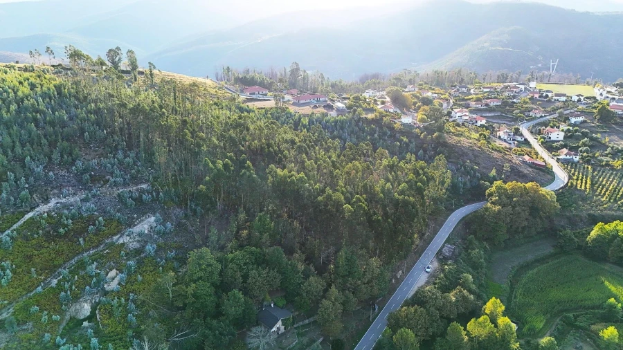 Terreno para Venda em Alvarenga Foto 10
