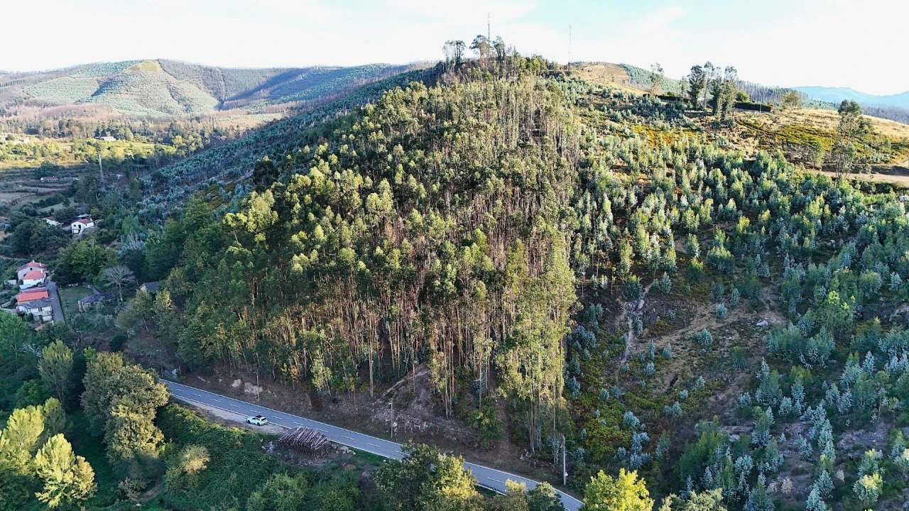 Terreno para Venda em Alvarenga Foto 16