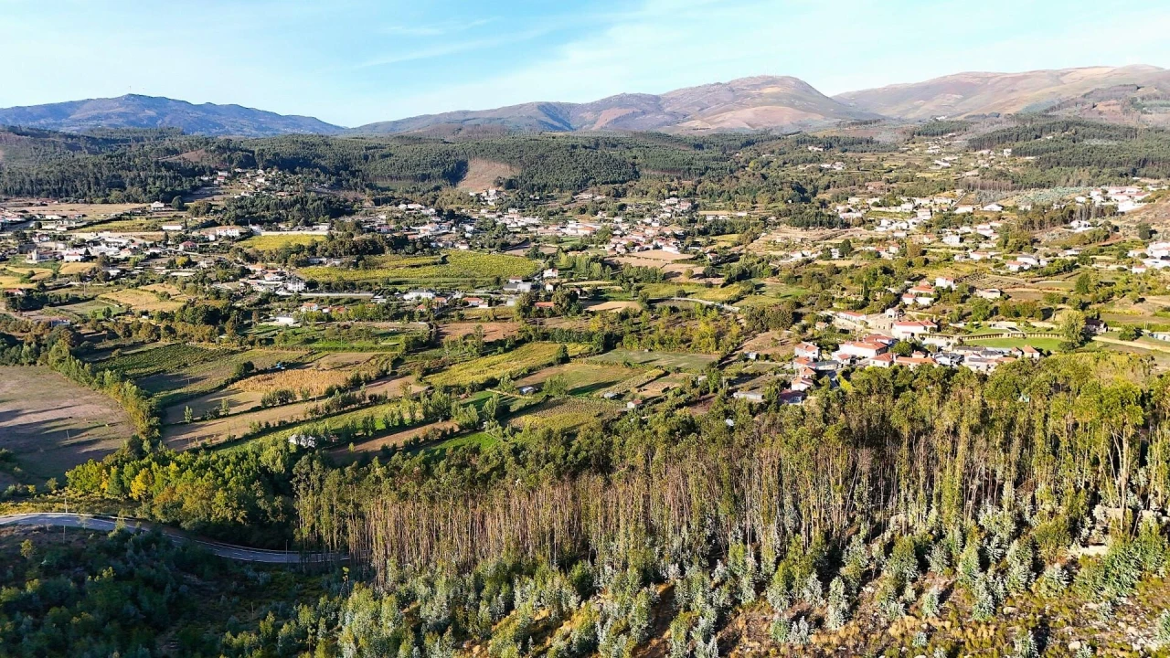Terreno para Venda em Alvarenga Foto 11