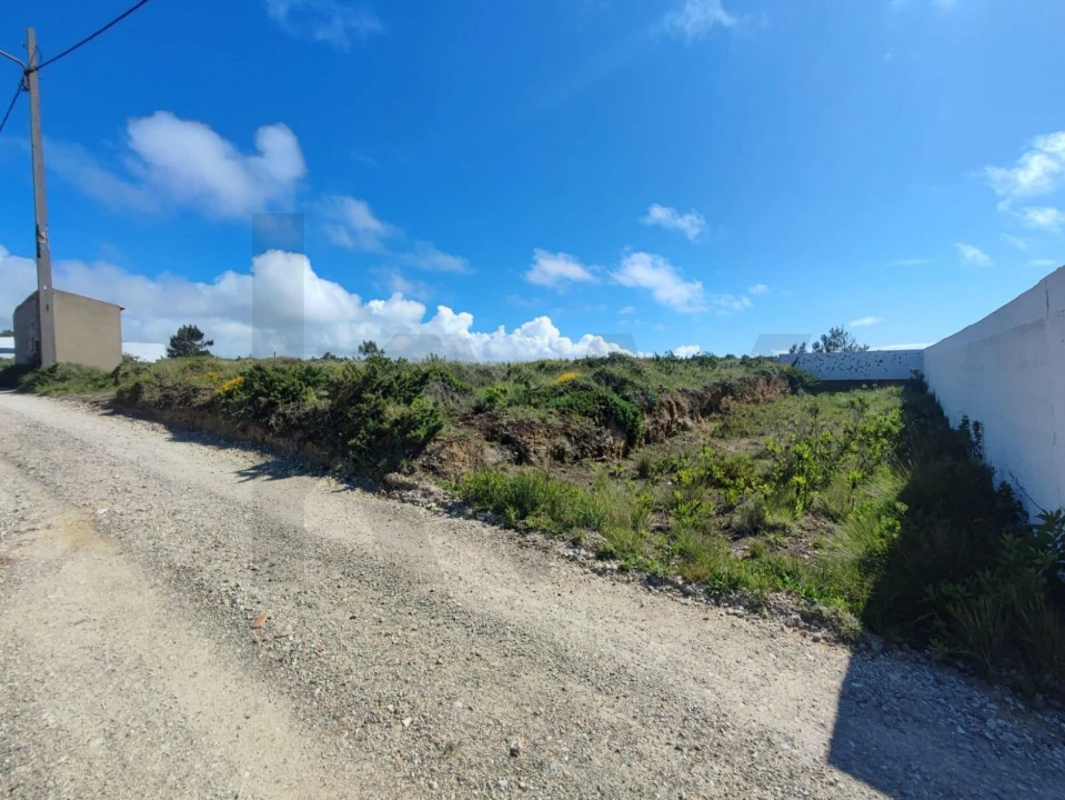 Terreno para Venda em Santa Maria e São Miguel, São Martinho, São Pedro Penaferrim Foto 2