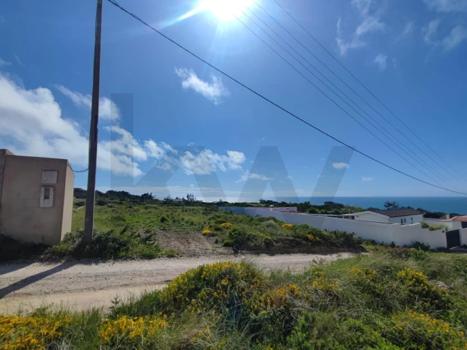 Terreno para Venda em Santa Maria e São Miguel, São Martinho, São Pedro Penaferrim Foto 3