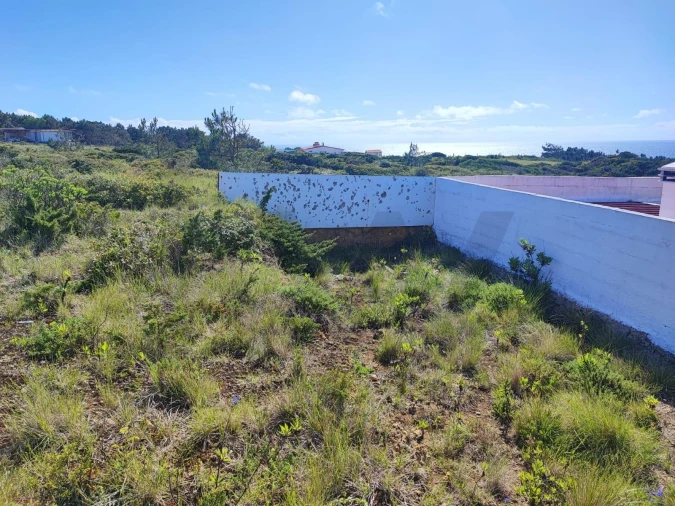Terreno para Venda em Santa Maria e São Miguel, São Martinho, São Pedro Penaferrim Foto 6