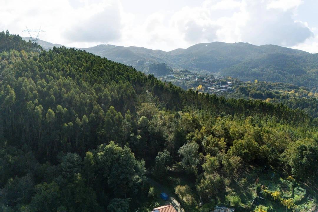 Moradia T2 para Venda em Moimenta Foto 35