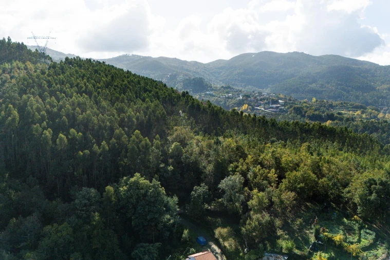 Moradia T2 para Venda em Moimenta Foto 35