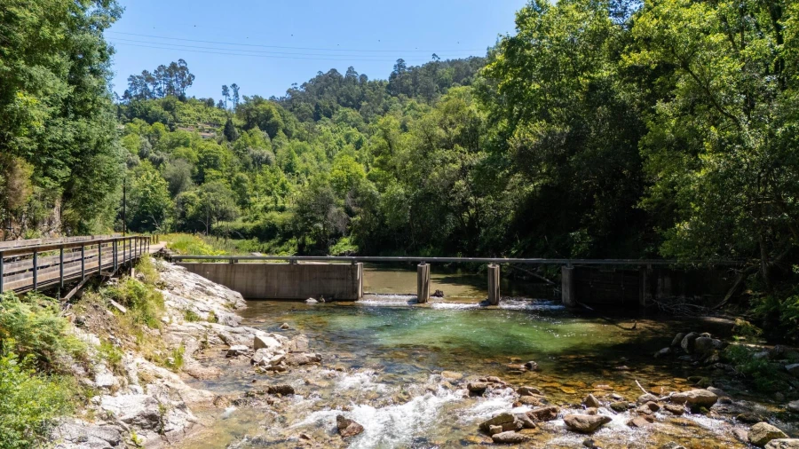 Moradia T2 para Venda em Moimenta Foto 37