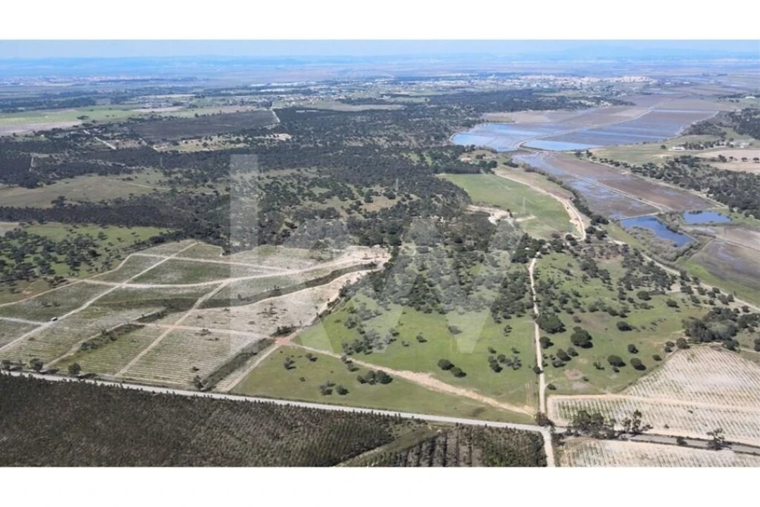 Quinta T4 para Venda em Benavente Foto 26