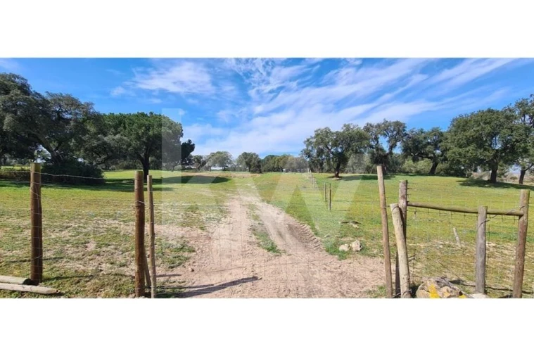 Quinta T4 para Venda em Benavente Foto 11