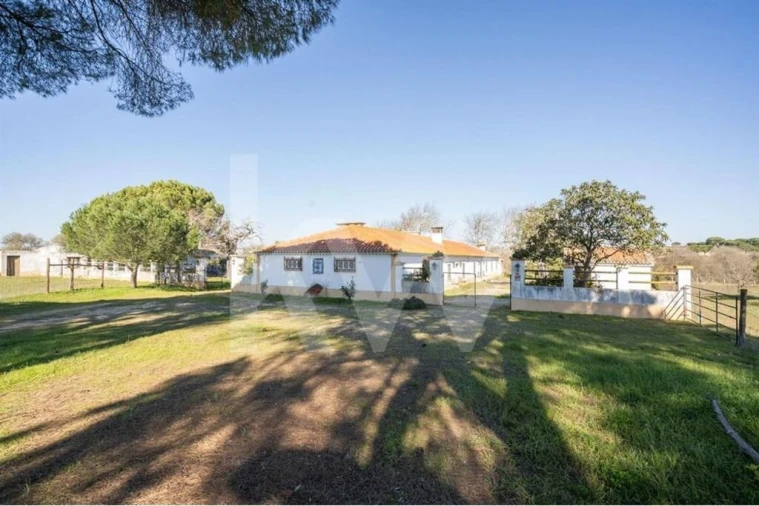 Quinta T4 para Venda em Benavente Foto 1