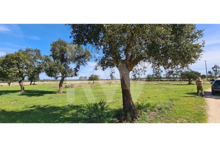 Quinta T4 para Venda em Benavente Foto 16