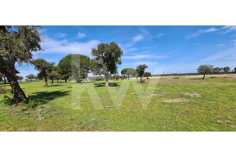 Quinta T4 para Venda em Benavente Foto 6