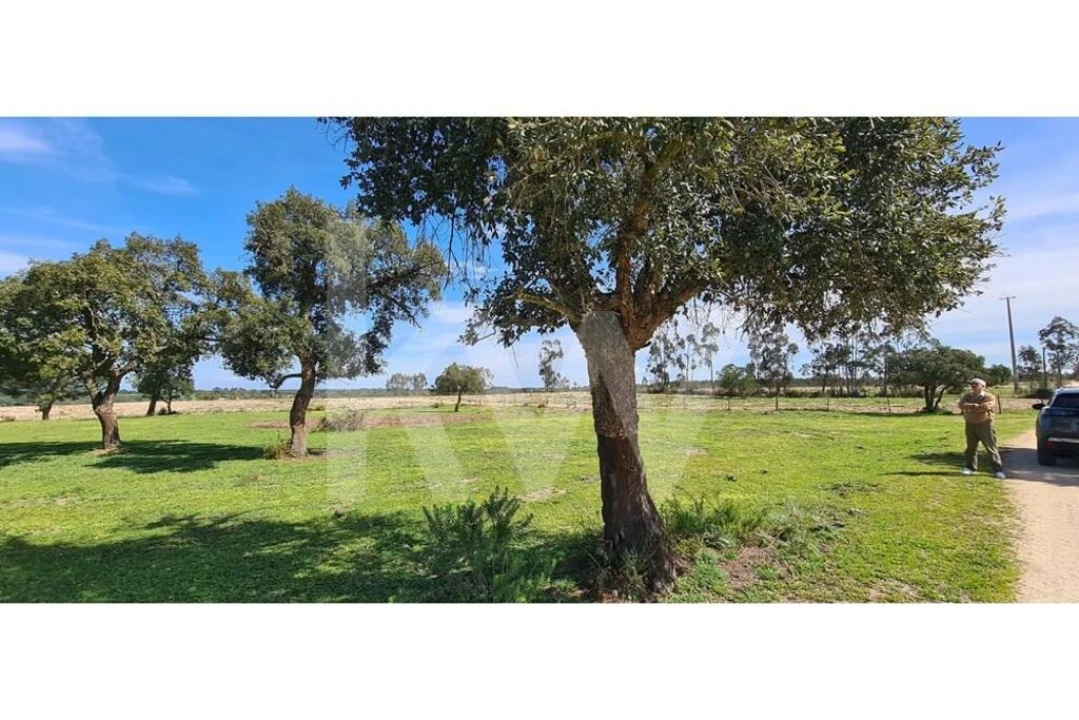 Quinta T4 para Venda em Benavente Foto 13