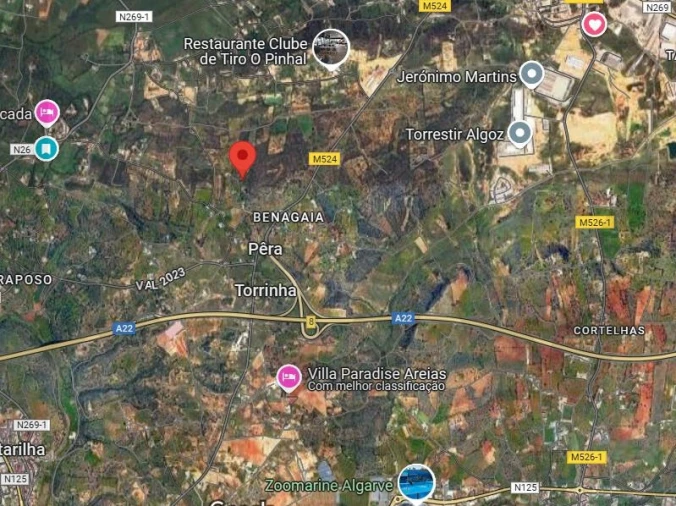 Terreno para Venda em Alcantarilha e Pêra Foto 2