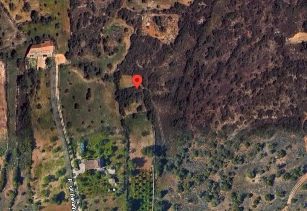 Terreno para Venda em Alcantarilha e Pêra Foto 1