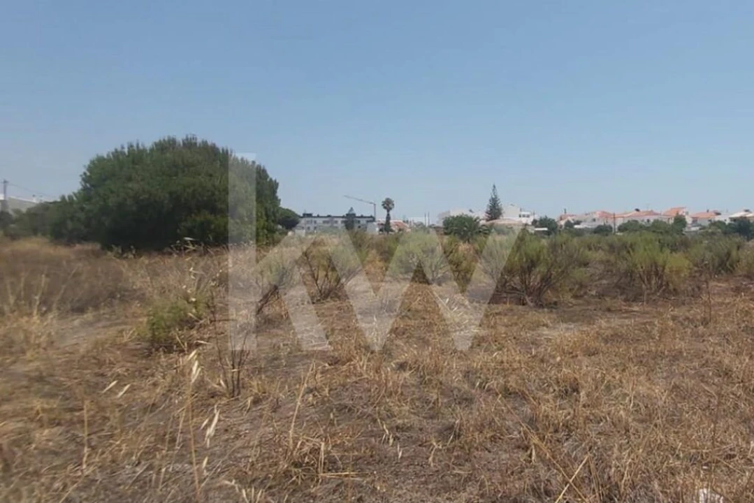 Terreno para Venda em Montenegro Foto 21