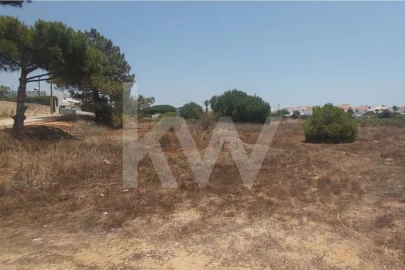 Terreno para Venda em Montenegro
