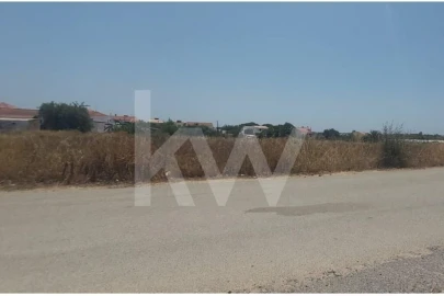 Terreno para Venda em Montenegro