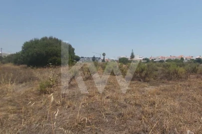 Terreno para Venda em Montenegro